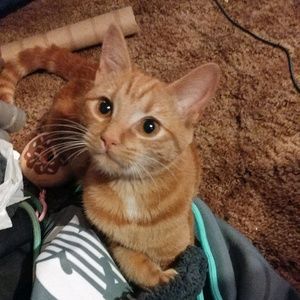 Meet your Posher, Kaci